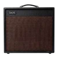 DANE Tube 5 Gitarrenverstärker