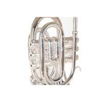 Vorschau: Roy Benson Bb-Taschentrompete PT-101S Vorschau: Roy Benson Bb-Taschentrompete PT-101S