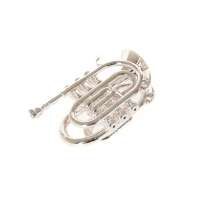 Vorschau: Roy Benson Bb-Taschentrompete PT-101S Vorschau: Roy Benson Bb-Taschentrompete PT-101S