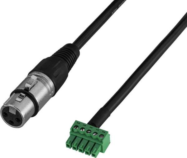 XLR Female - Phoenix 5-Pol Adapterkabel für Installationsendstufen PA-4120D/JPH Monacor