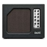 Dane Retro 40 Gitarrenverstärker