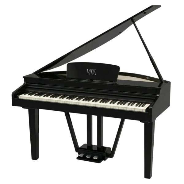 Viva Grand II E-Flügel