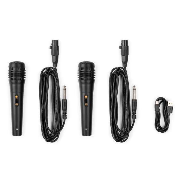 Fenton KAR50P Karaoke Lautsprecher mit LED Effekt pink