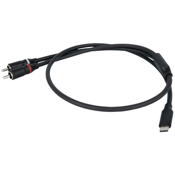 DAP FL110 USB-C zu 2 Cinch Male - 150 cm