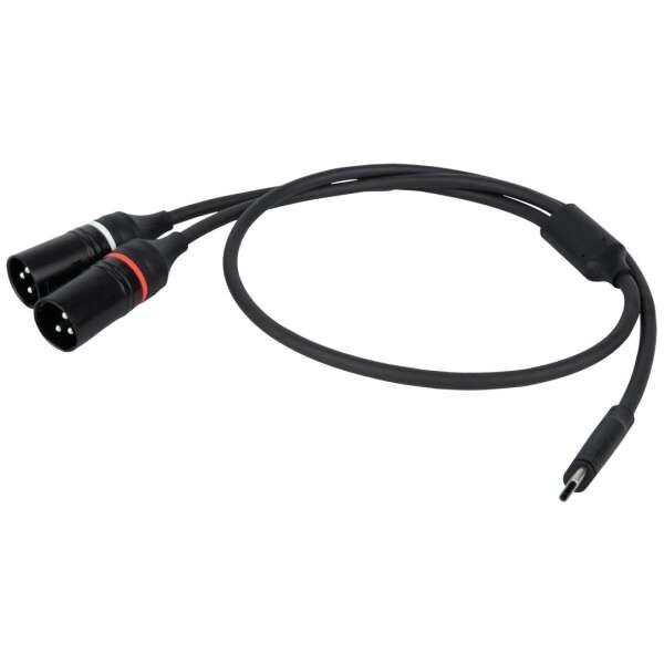 DAP FL112 USB-C zu 2 XLR Male 150 cm