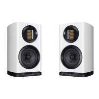 Wharfedale EVO 4.1 2-Wege Kompaktlautsprecher White Oak