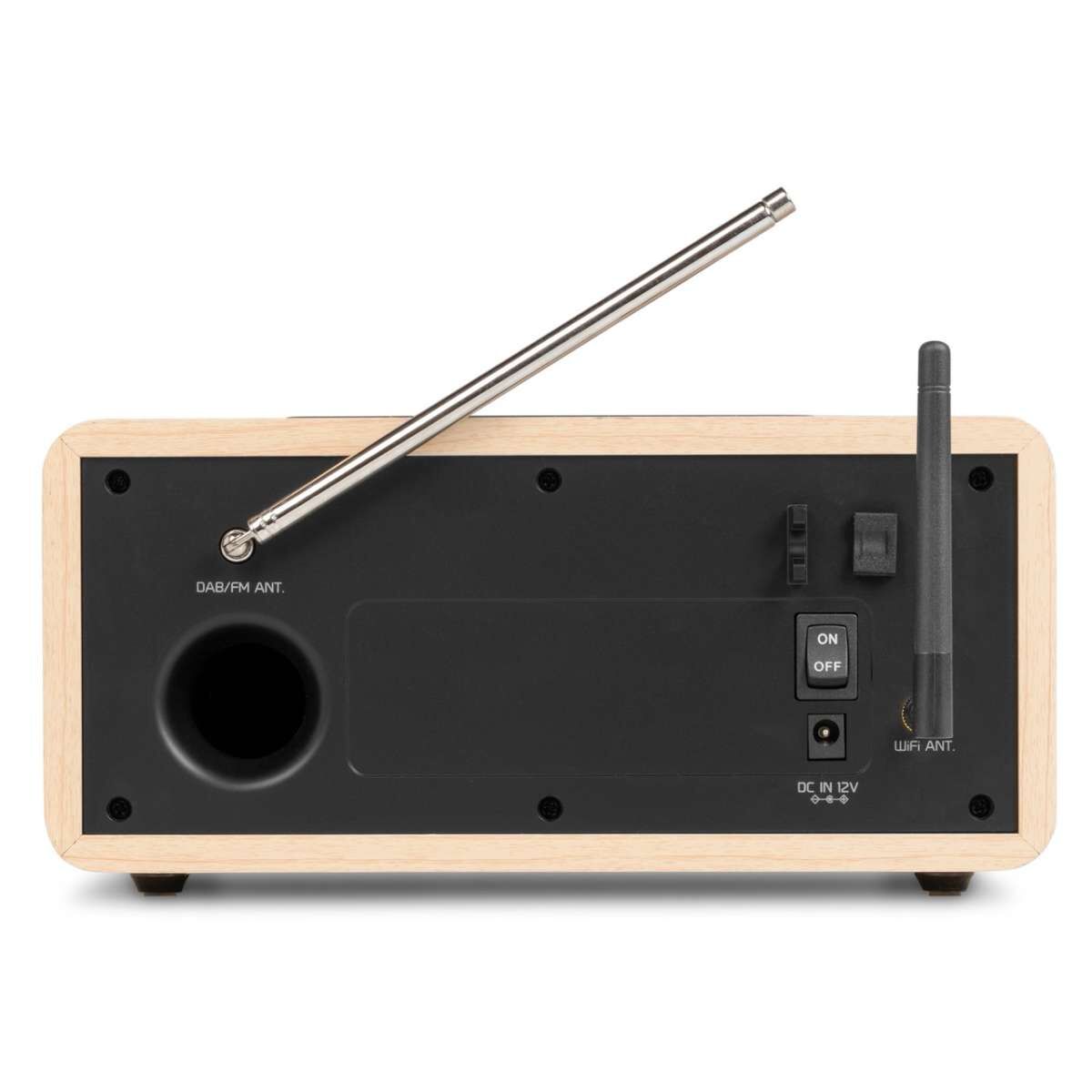 Audizio DOZZA Internet Radio mit DAB+ Bamboo | HotSound-Store