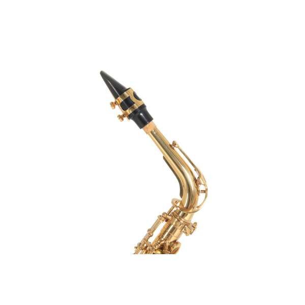 Roy Benson Eb-Alt Saxophon AS-202