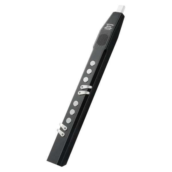 Eastar EDA-100 Digitales Blasinstrument