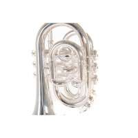Vorschau: Roy Benson Bb-Taschentrompete PT-101S Vorschau: Roy Benson Bb-Taschentrompete PT-101S