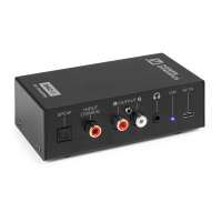 Power Dynamics DAC101 Digital zu Analog Converter DAC