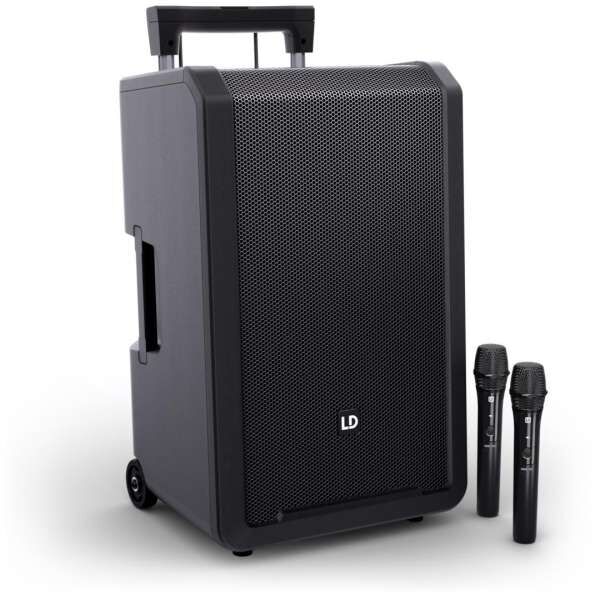 LD Systems ANNY 12 HHD2 B8