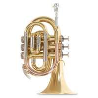 Vorschau: Roy Benson Bb-Taschentrompete PT-302 Vorschau: Roy Benson Bb-Taschentrompete PT-302