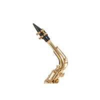 Vorschau: Roy Benson Eb-Alt Saxophon AS-202 Vorschau: Roy Benson Eb-Alt Saxophon AS-202