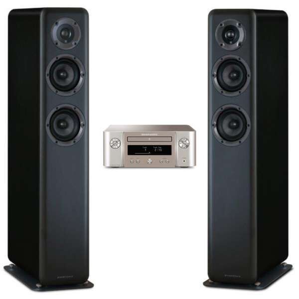 Wharfedale D330 mit Marantz M-CR612 Set Champagner / Black