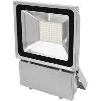 EUROLITE LED IP FL-100 6400K