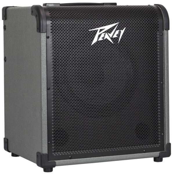 Peavey MAX 100