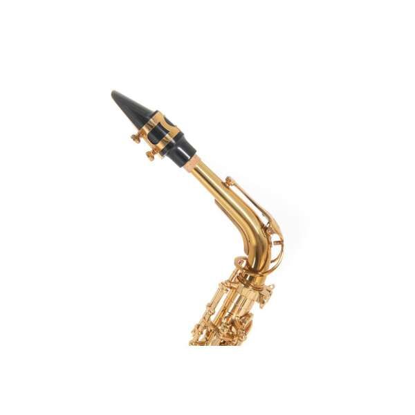 Roy Benson Eb-Alt Saxophon AS-302